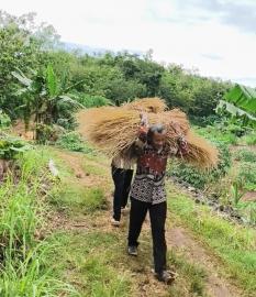 Blusukan Tanpa Gengsi, Lurah Wasija Terima Damen dari Petani